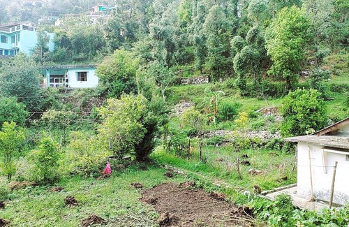 Bhowali Casa | Two Private 1BHKs with Terrace & Backyard Access