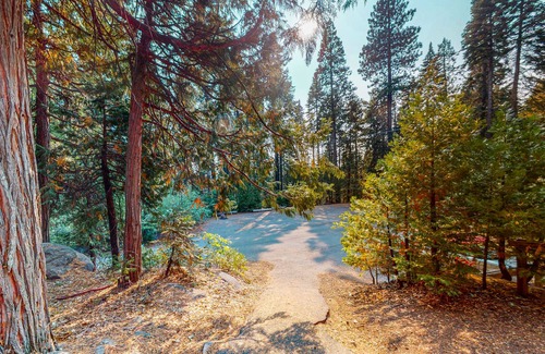 Camp Connell Condominio | Two-story dog-friendly condo with balcony, washer/dryer, & full kitchen