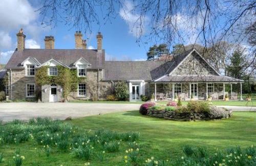 Llandrillo Hotel | Tyddyn Llan Restaurant with Rooms