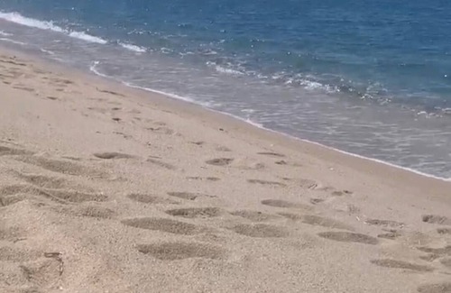 Granace Casa | U Casedu di gjuvani in the heart of a Corsican village