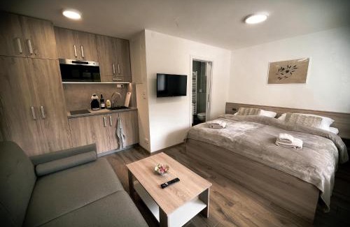 Dolni Morava Apartamento | U Králíka, přízemní bezbarierové apartmány A,B,C,D - 50 metrů od vleku - přejdete v lyžácích, pod bobovou dráhou, parkování zdarma, lyžárna s vysoušeči bot,