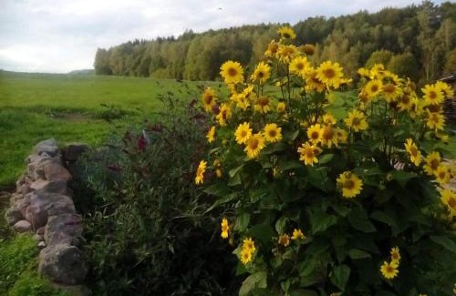 Odolov Apartamento | U tátovy lípy