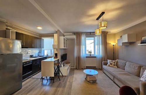 Tirgu Mures Apartamento | Ultracentral Apartment BBs Apartment