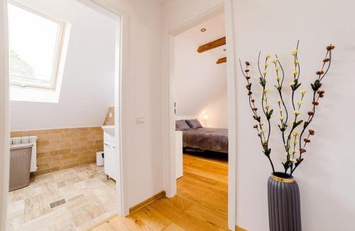 Vladeni Apartamento | Un sejur de neuitat.