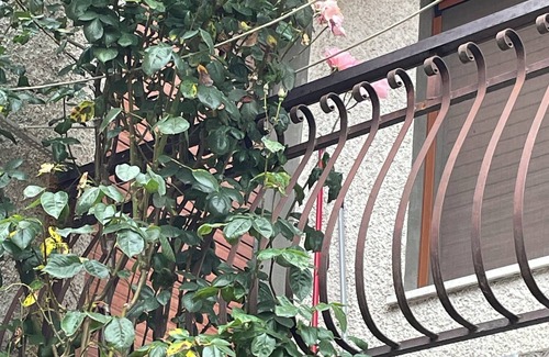 Montebruno Apartamento | Uncle Horace's House AAUT Cozy apartment in the Ligurian countryside.