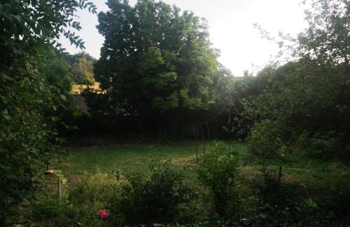 Saint-Pons-de-Thomieres Casa | Une chambre au jardin