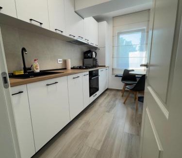 Iasi Apartamento | Unique Apartments City Center by Glam Story