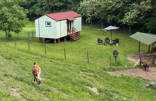 Modry Kamen Apartamento | Unique Dutch Retro House "Stará Láska" - Natural Slovakia
