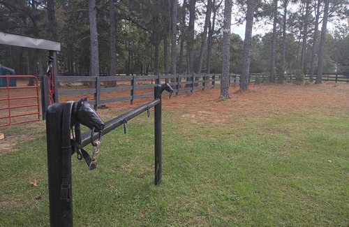 Langley Casa | Unique Hangar & RV Experience with paddock and shelter for Horses