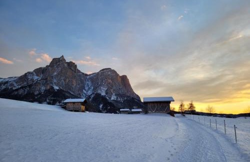 Castelrotto Apartamento | Unterstandroahof