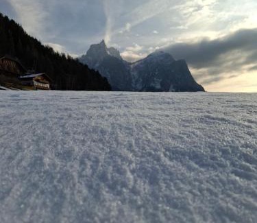 Castelrotto Apartamento | Unterstandroahof