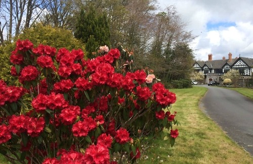Bont Newydd Casa | Upper Lake Chalet , Dog and Pet Friendly