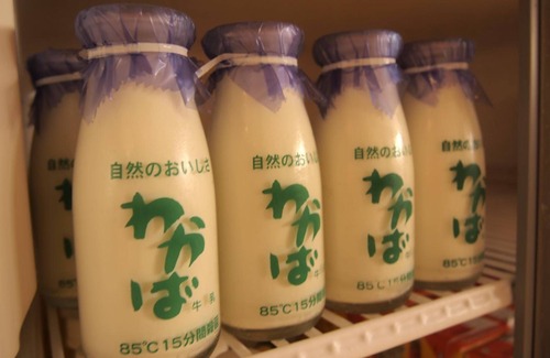 Onomichi Casa | Urayu Ryokan Urashima