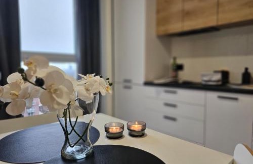 Katowice Apartamento | URBAN APARTMENTS PREMIUM Baildona 18B, Free Garage, Self Check-in