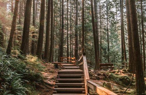 North Vancouver Casa | Urban /City Mountain Escape 🎿 🚵 - 2 Bedrooms (Your home away from home)