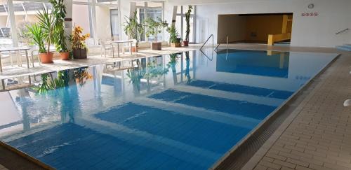 Sankt Englmar Apartamento | Urlaub in Herzen des Bayerischen Waldes