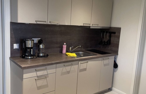 Gropostwitz/O.L. Condominio | Vacation apartment in the Swedish house
