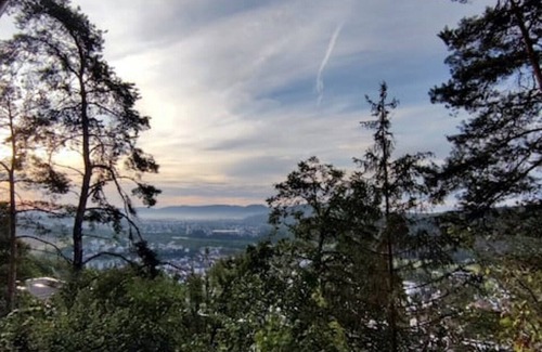 Waldshut-Tiengen Apartamento | Vacation apartment 94 sqm & 16 sqm terrace - with magnificent panoramic views of the city and the Alps