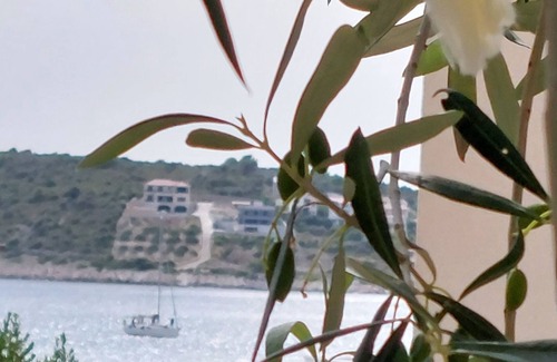 Sevid Apartamento | Vacation apartment Happy Olive in Sevid near Trogir Croatia
