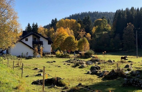 Blasiwald Apartamento | Vacation apartment/apartment for 2 guests with 35m² in Schluchsee (268615)