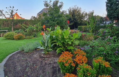 Mettingen Casa | Vacation apartment Kiefernstraße 1 Mettingen