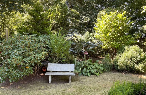 Bordelum Casa | Vacation home for 6 guests with 100m² in Dörpum (175388)