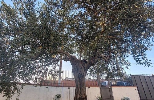Mount Vesuvius - Pompei Casa | Vacation Home For Families Torre Annunziata Scavi Oplontis, Pompeia, Naples