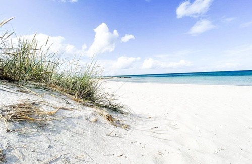 Schonberg Casa | Vacation home Ostseelodge - Holiday home with sauna, fireplace, garden house