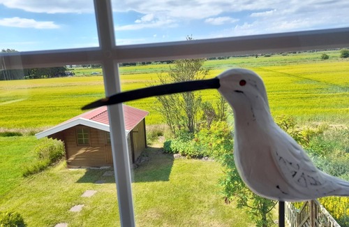 Stedesdorf Casa | Vacation home Robby - Holiday home Robby also available with dog