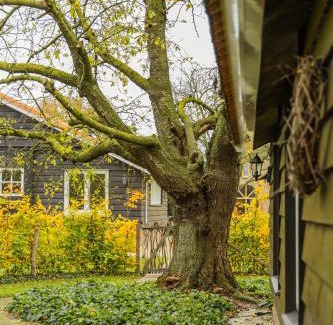 Sevenum Casa | Vakantiehuis De Bonte Specht