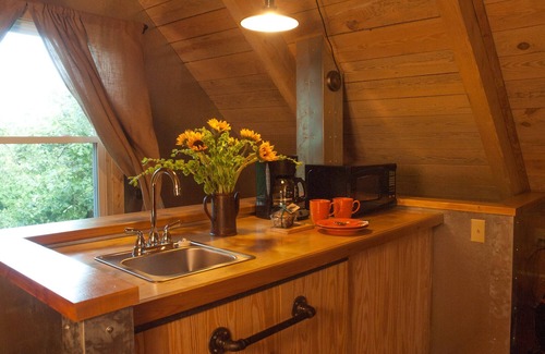 Eureka Springs Cabina | Cabina de valeriana en Lake Lucerne Resort and Ranch Treehouse-Vibe Lakeview