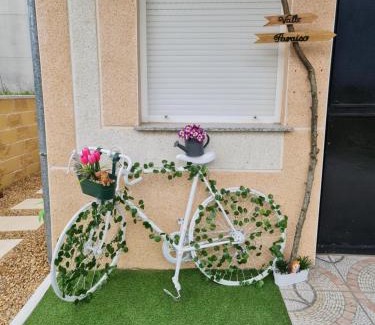 Cepeda Casa | Valle Paraiso