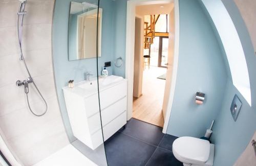 Tohanu Nou Chalet De Esquí | Vatra Barsei