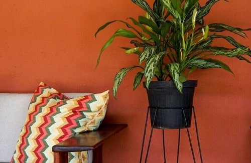 Paracuru Hotel | VentoBrasil Hotel