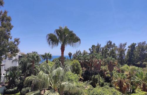 Puerto Banus Apartamento | Ventura del Mar duplex Penthouse