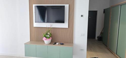 Ramnicu Valcea Apartamento | Vera Home 4