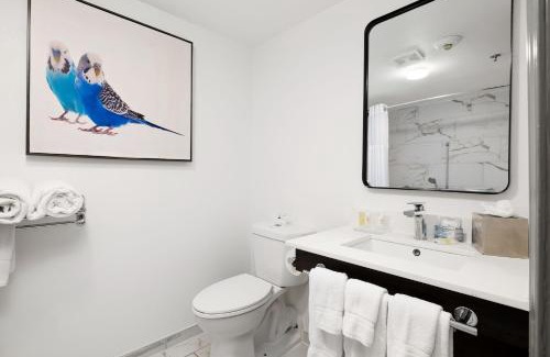 McAllen Hotel | Verta Hotel McAllen Airport