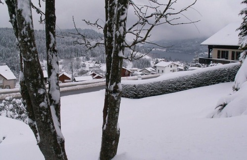Gerardmer Apartamento | Very beautiful chalet-style studio with lake view near the ski slopes for 2 people 1 child