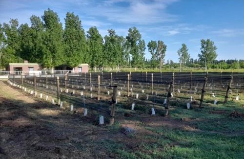 Rama Caída Apartamento | VIÑAS DEL SOL