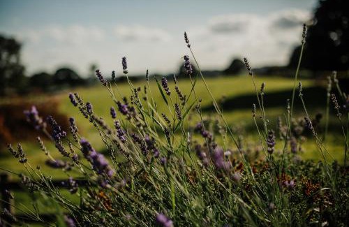 Litton Casa | Vicarage Farm Cottages