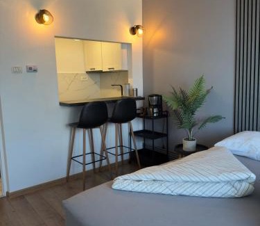 Resita Apartamento | Victoria 1 Room Apartment- Self Check in 24h