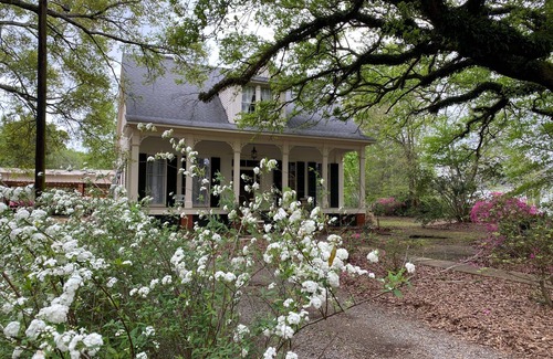Opelousas Casa | Victorian Manor en el corazón de Cajun Country. 20 min al norte de Lafayette