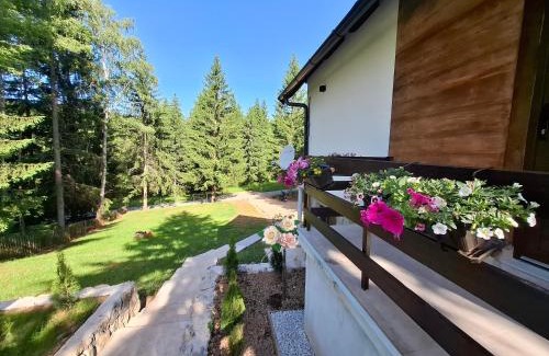 East Sarajevo Casa | Vikendica Sedam Patuljaka