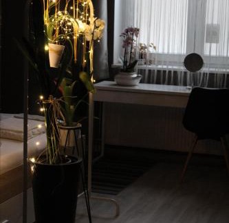 Satu Mare Apartamento | Viky Apartment