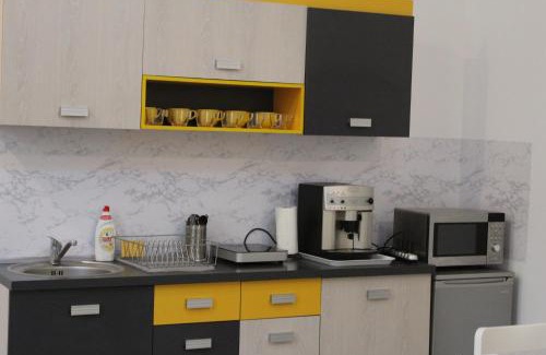 Satu Mare Apartamento | Viky Apartment