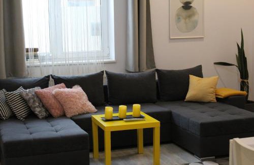 Satu Mare Apartamento | Viky Apartment