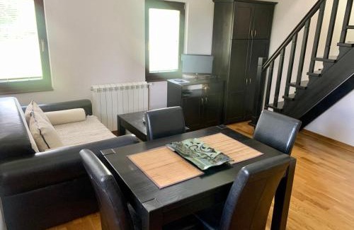 Zlatibor Apartamento | Vila Darija Zlatar - studio apartman br. 3