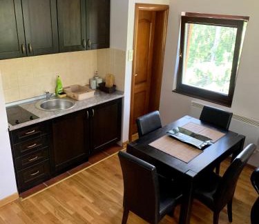 Zlatibor Apartamento | Vila Darija Zlatar - studio apartman br. 3