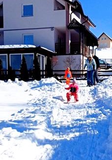 Zlatibor Apartamento | Vila Dzavric