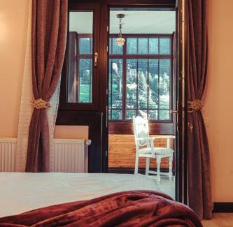 Campulung Moldovenesc Cama Y Desayuno | Vila Genia